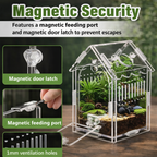 House Jumping Spider Enclosure