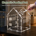 House Jumping Spider Enclosure