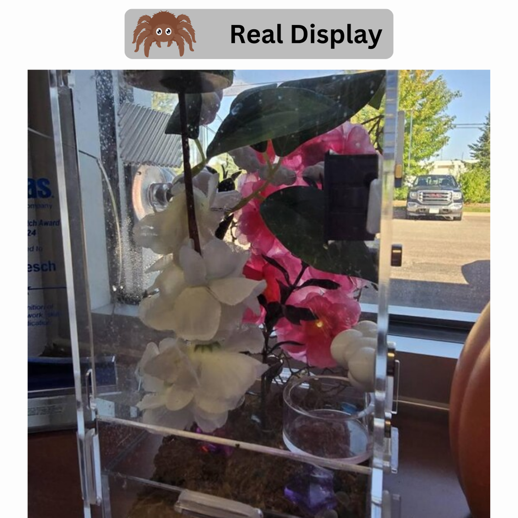 Hanging Flower Hide for Jumping Spiders