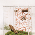 DIY Spiders Climbing Net