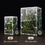 Regular Jumping Spider Enclosure