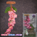 Hanging Flower Hide for Jumping Spiders