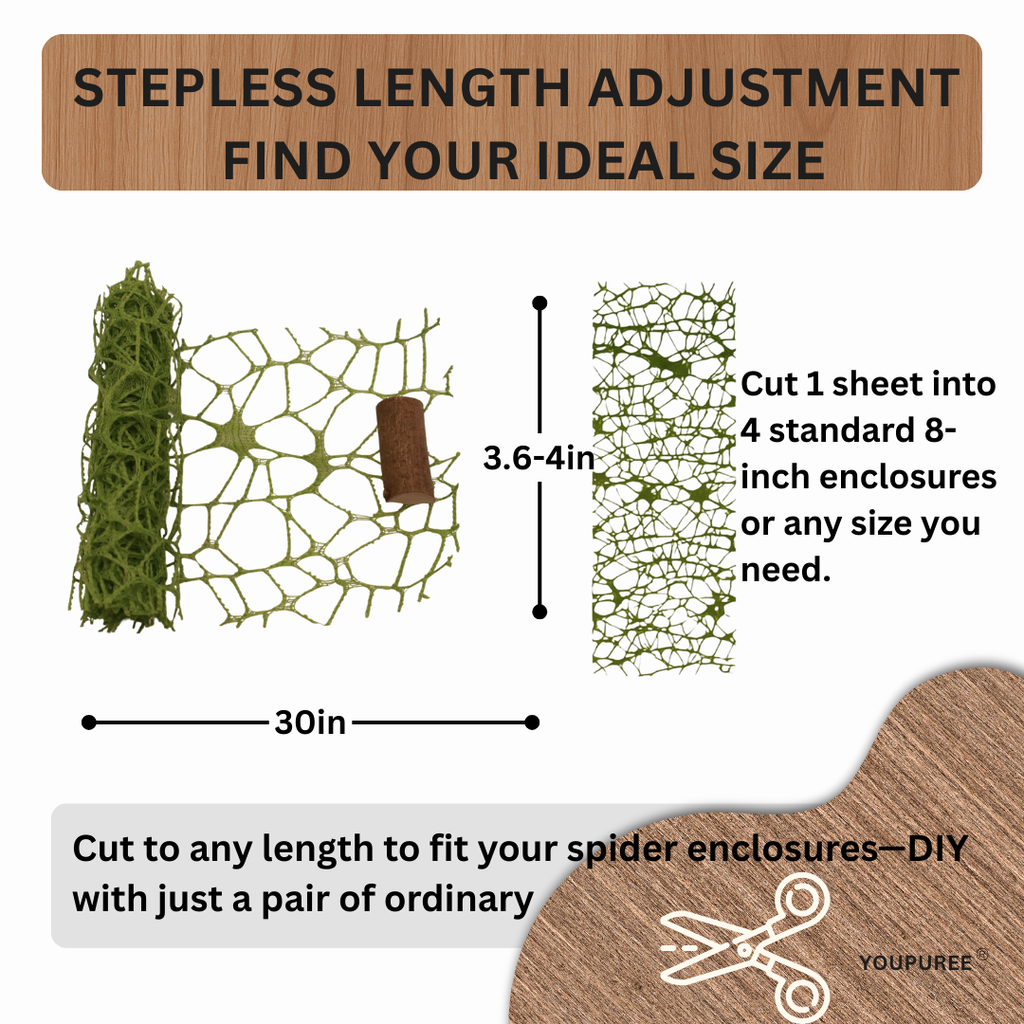 DIY Spiders Climbing Net