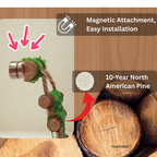 Natural Wooden Climbing Bridge for Jumping Spiders