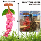 Hanging Flower Hide for Jumping Spiders