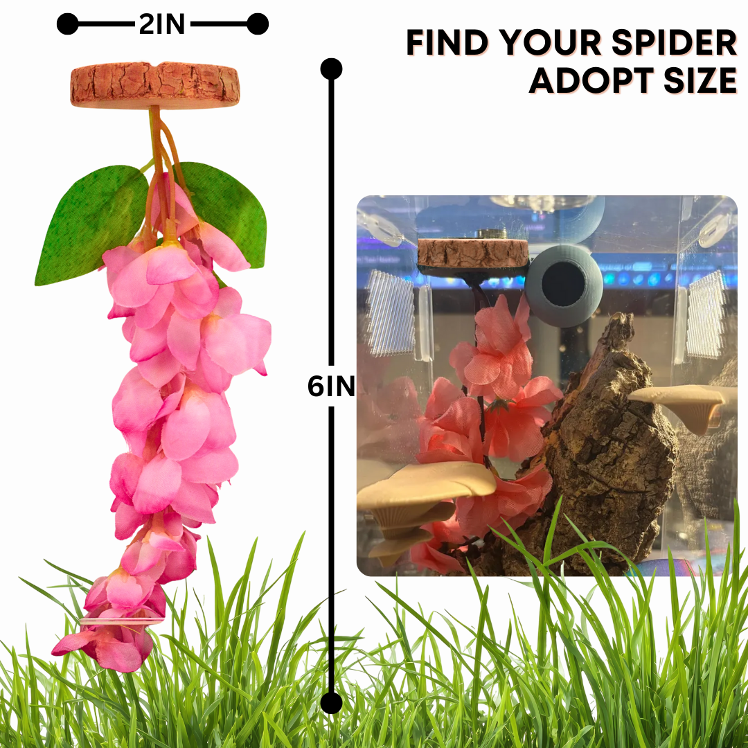 Hanging Flower Hide for Jumping Spiders
