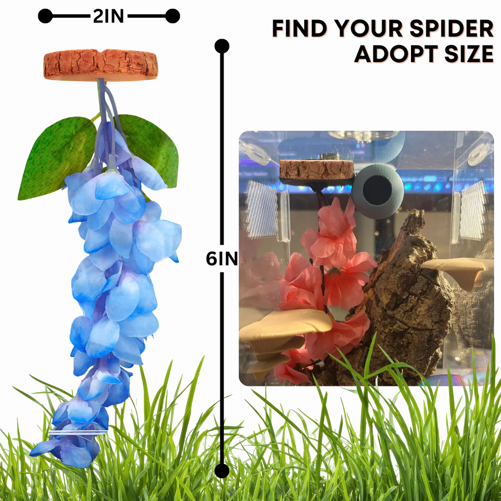 Hanging Flower Hide for Jumping Spiders