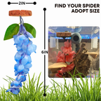 Hanging Flower Hide for Jumping Spiders