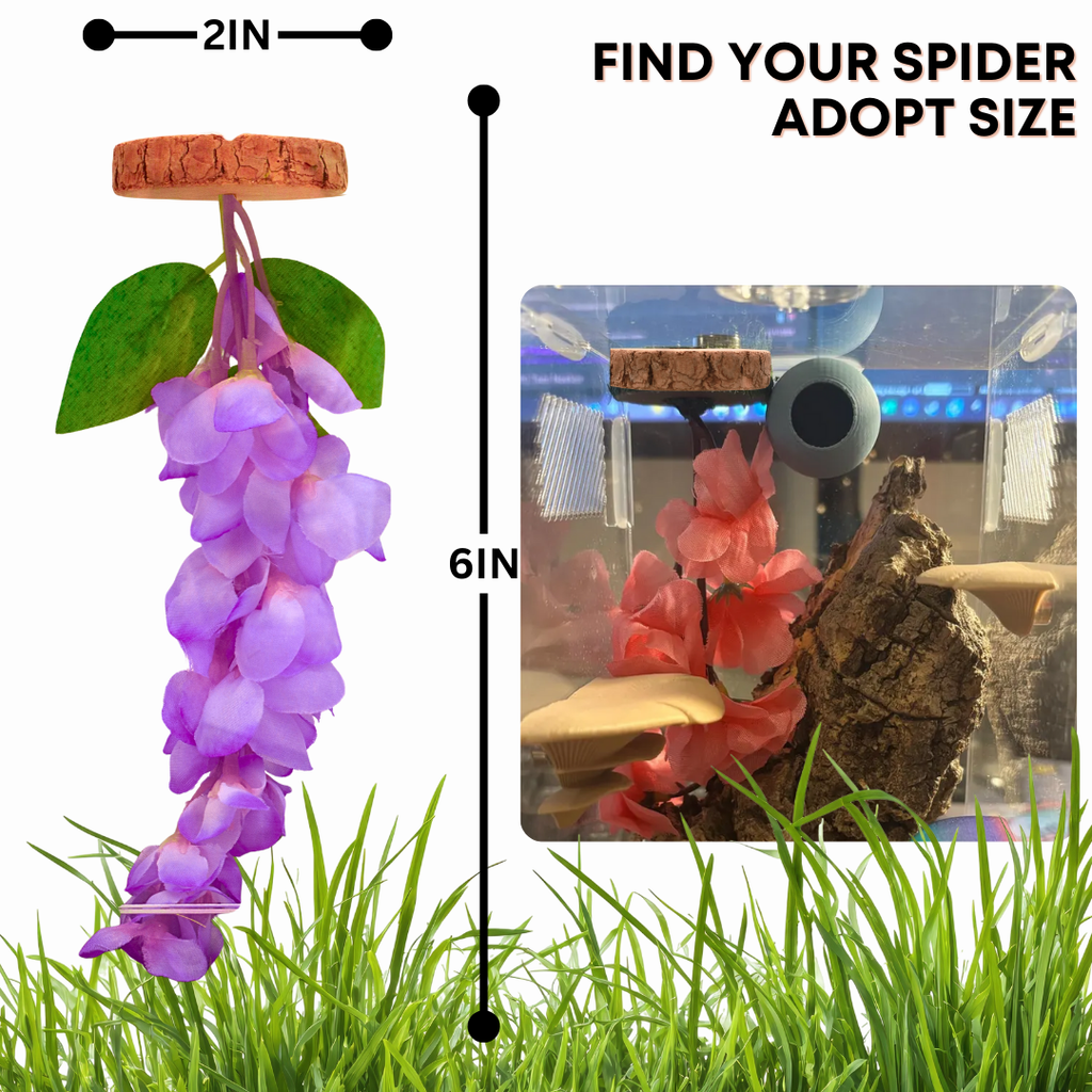 Hanging Flower Hide for Jumping Spiders