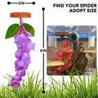 Hanging Flower Hide for Jumping Spiders