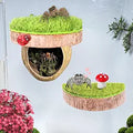 Jumping Spider Feeding&Hideout