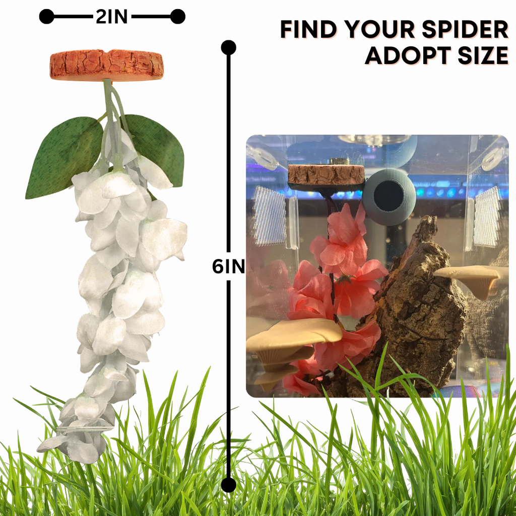 Hanging Flower Hide for Jumping Spiders