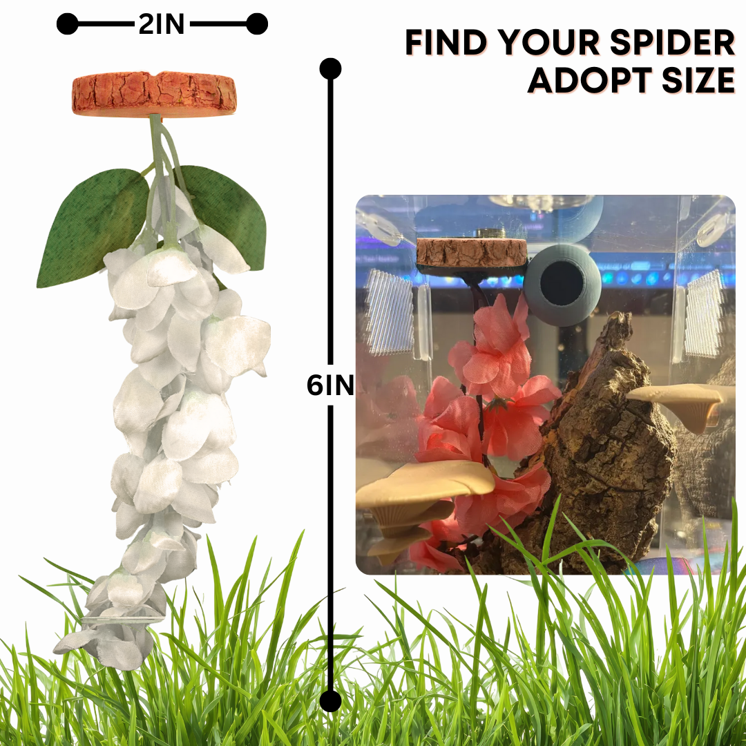 Hanging Flower Hide for Jumping Spiders