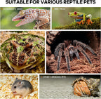 Regular Jumping Spider Enclosure