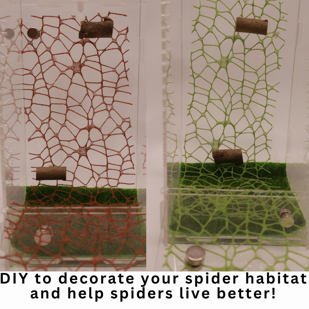 DIY Spiders Climbing Net