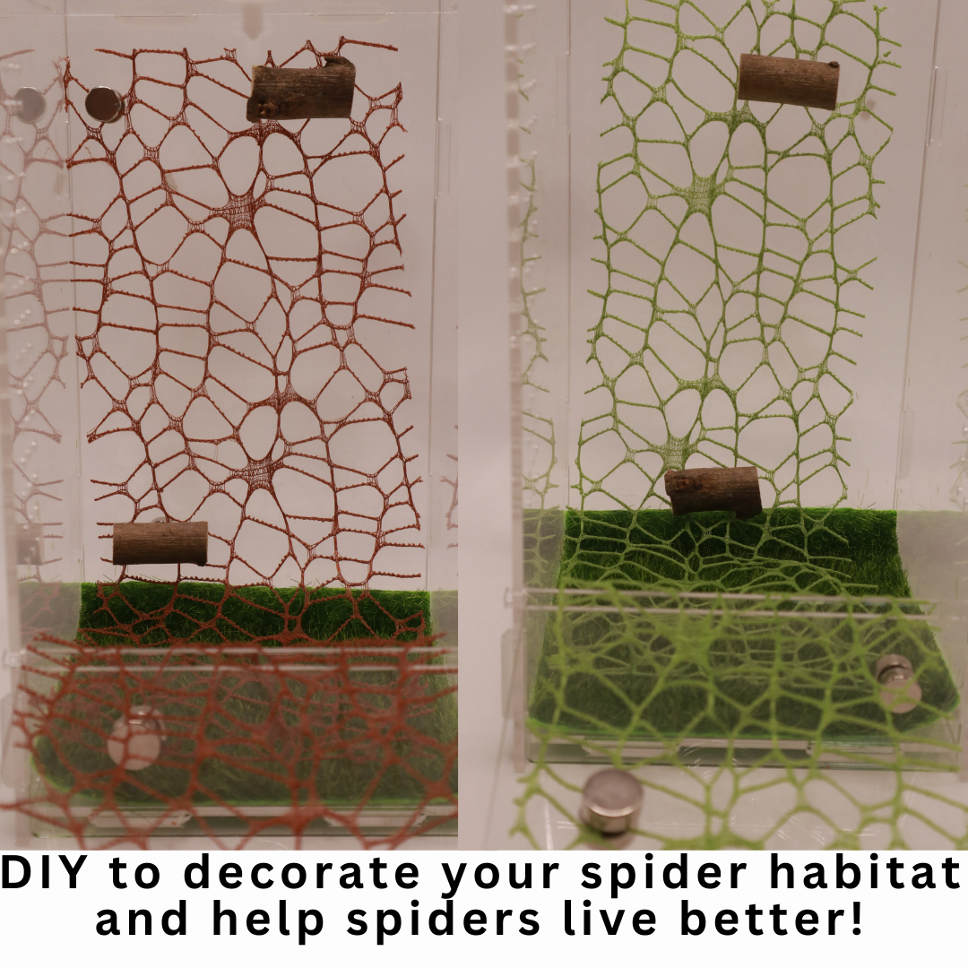 DIY Spiders Climbing Net