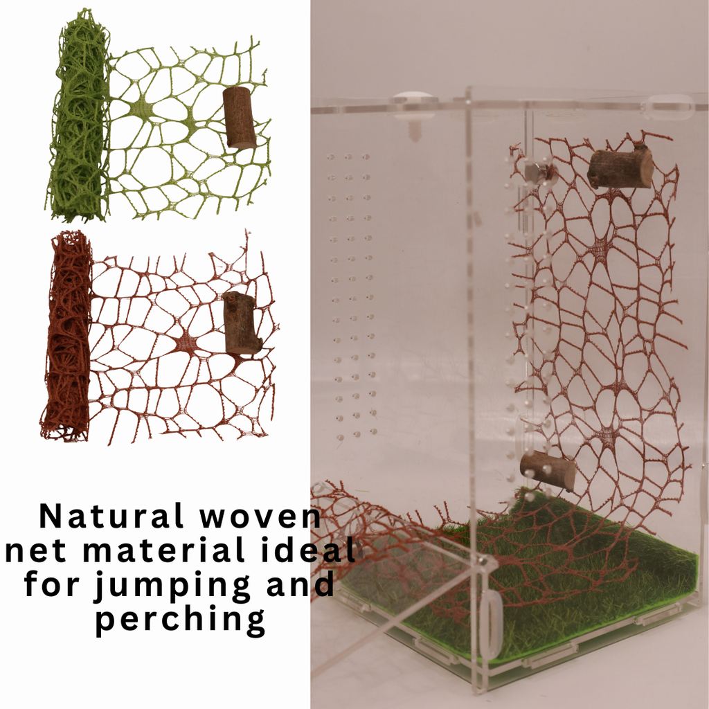 DIY Spiders Climbing Net