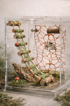 DIY Spiders Climbing Net