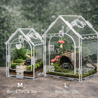 House Jumping Spider Enclosure