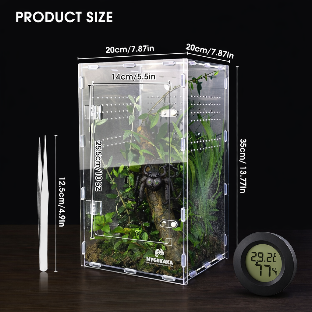 Regular Jumping Spider Enclosure