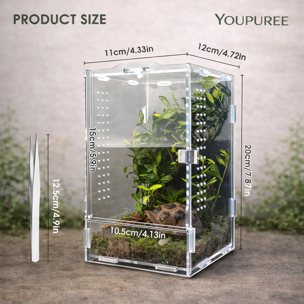 Regular Jumping Spider Enclosure