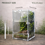 Regular Jumping Spider Enclosure