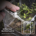 Regular Jumping Spider Enclosure