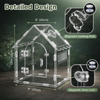 House Jumping Spider Enclosure